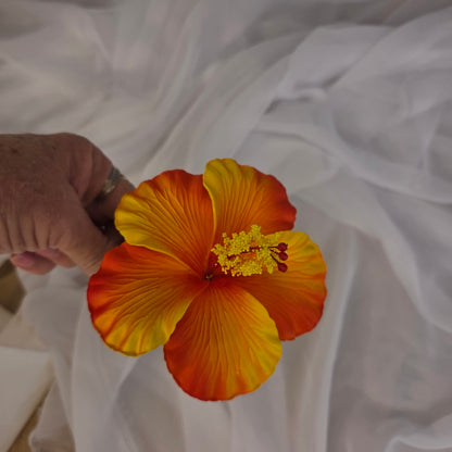Bright Orange/Yellow Hibiscus 11.5 cm Flowerhead
