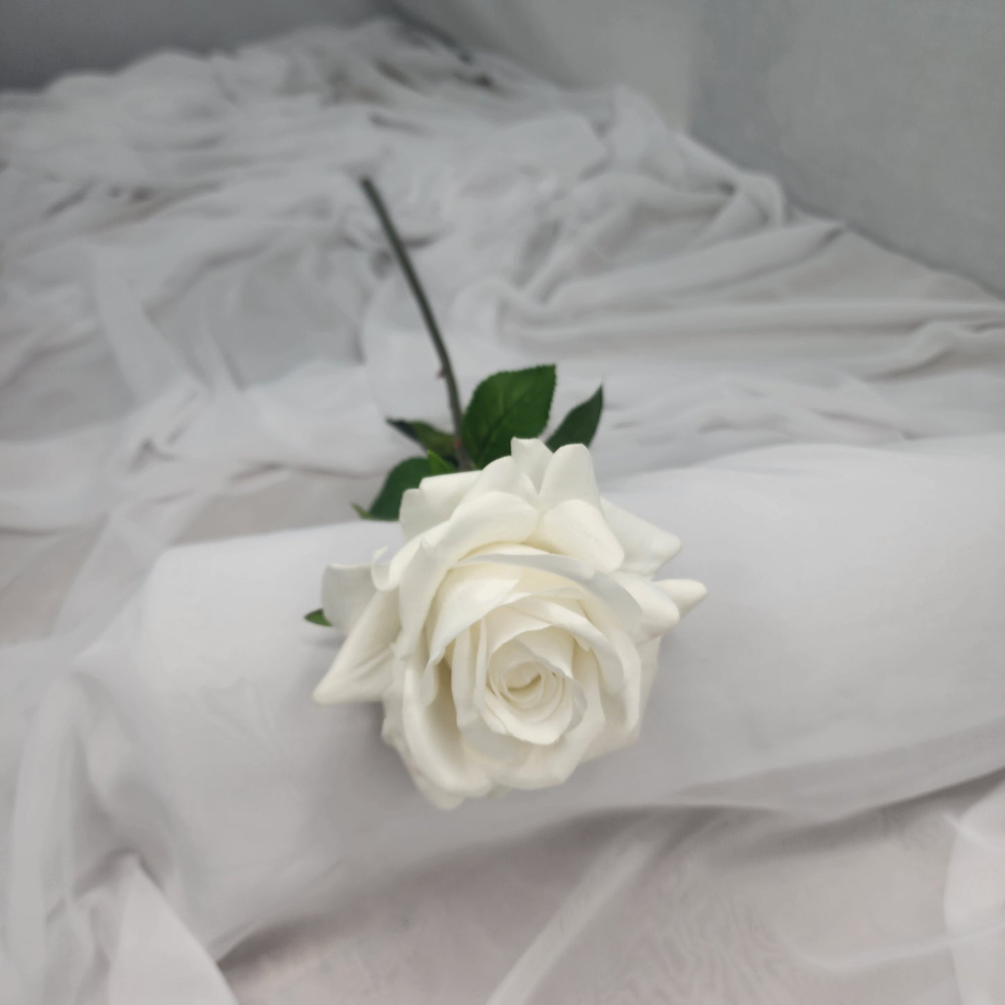 White Royal Real Touch Rose