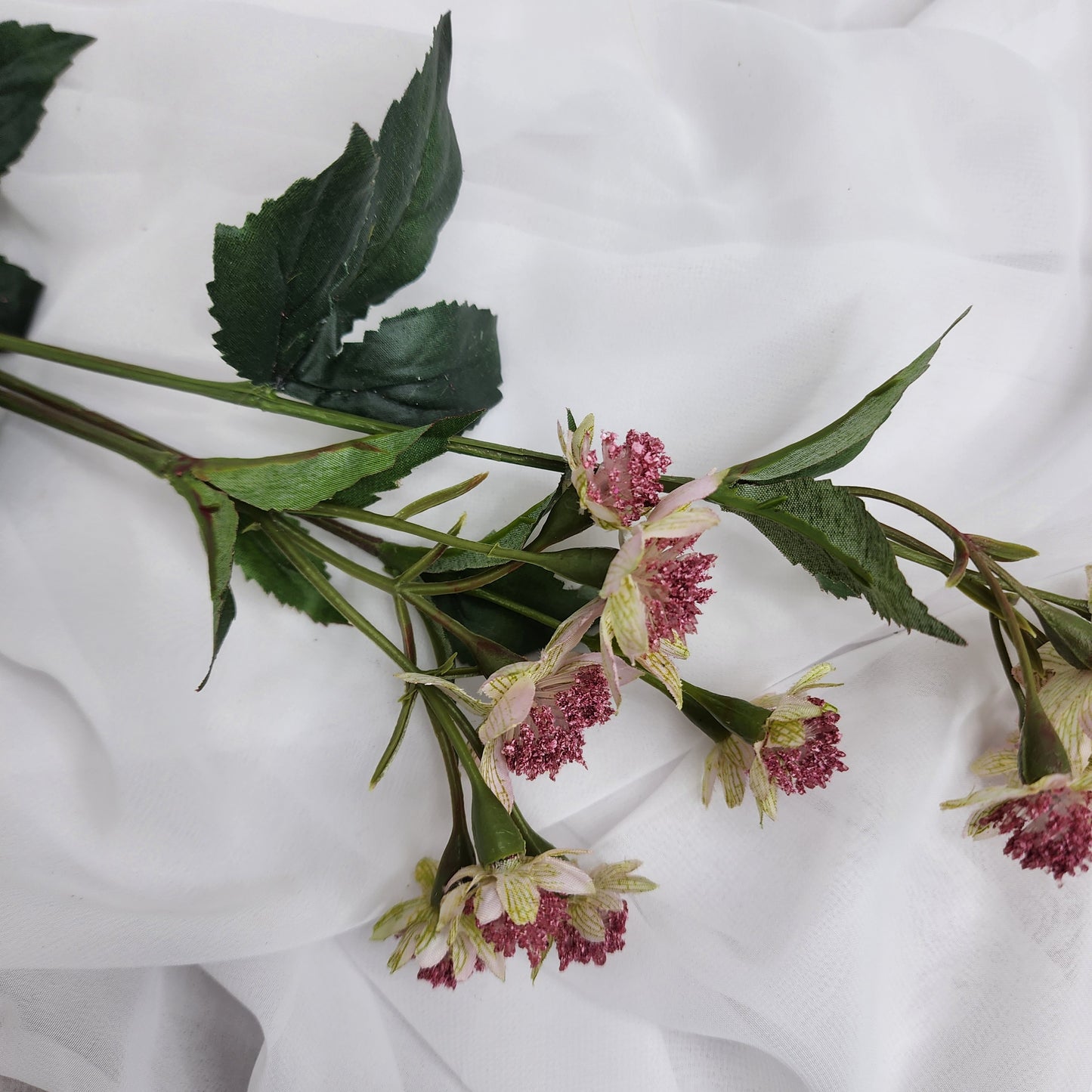 Astrania Pink - Realistic Artificial Flowers