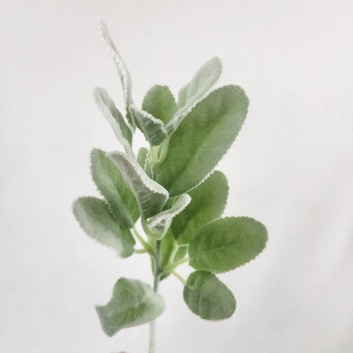 Lambs Ear /Woolly Hedgenettle Greenery -Realistic Artificial Greenery