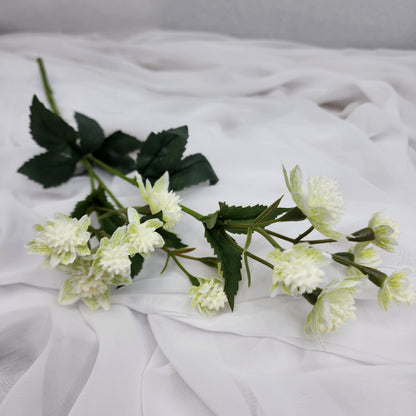 Astrania White- Realistic Artificial Flowers