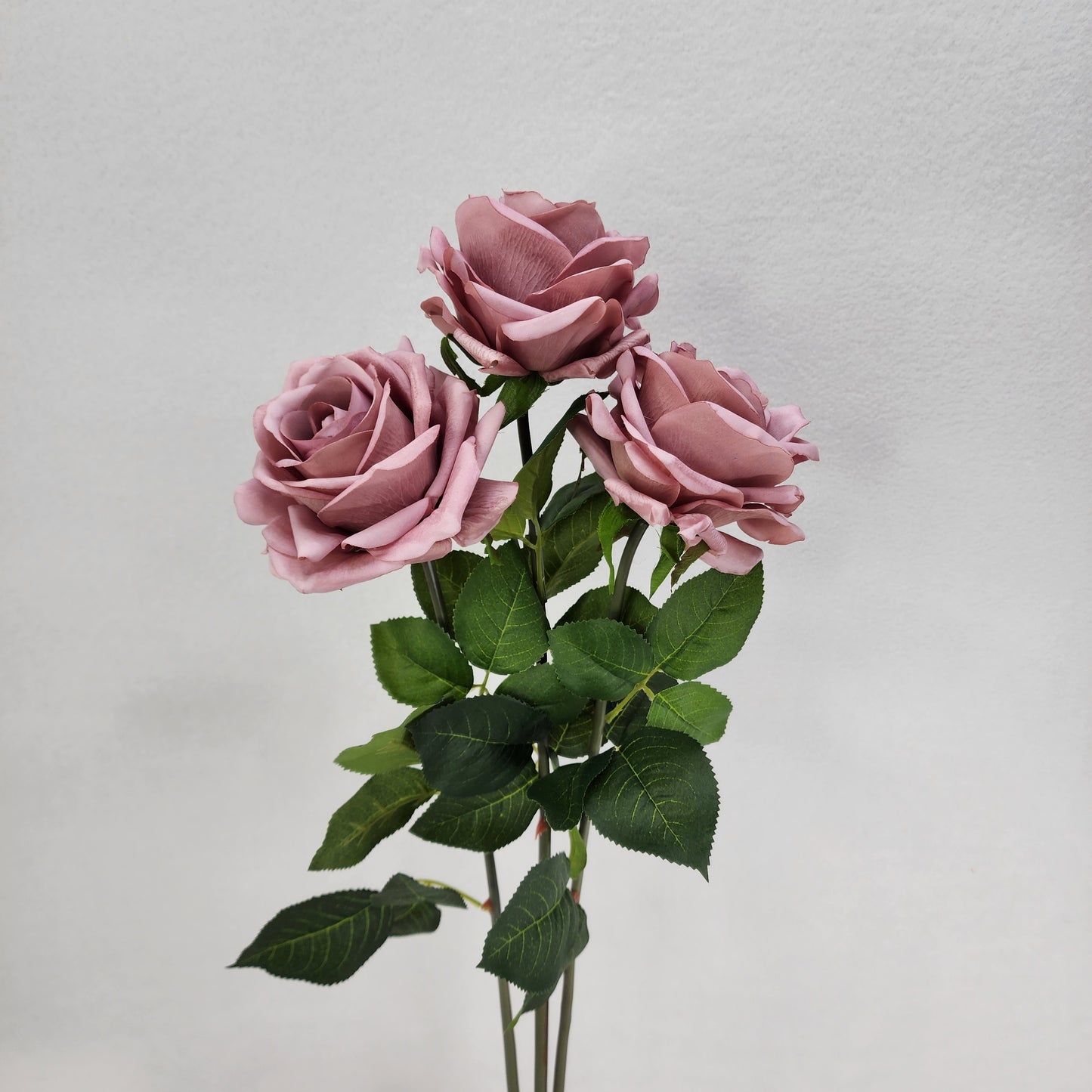 Dusty Pink Royal Real Touch Rose