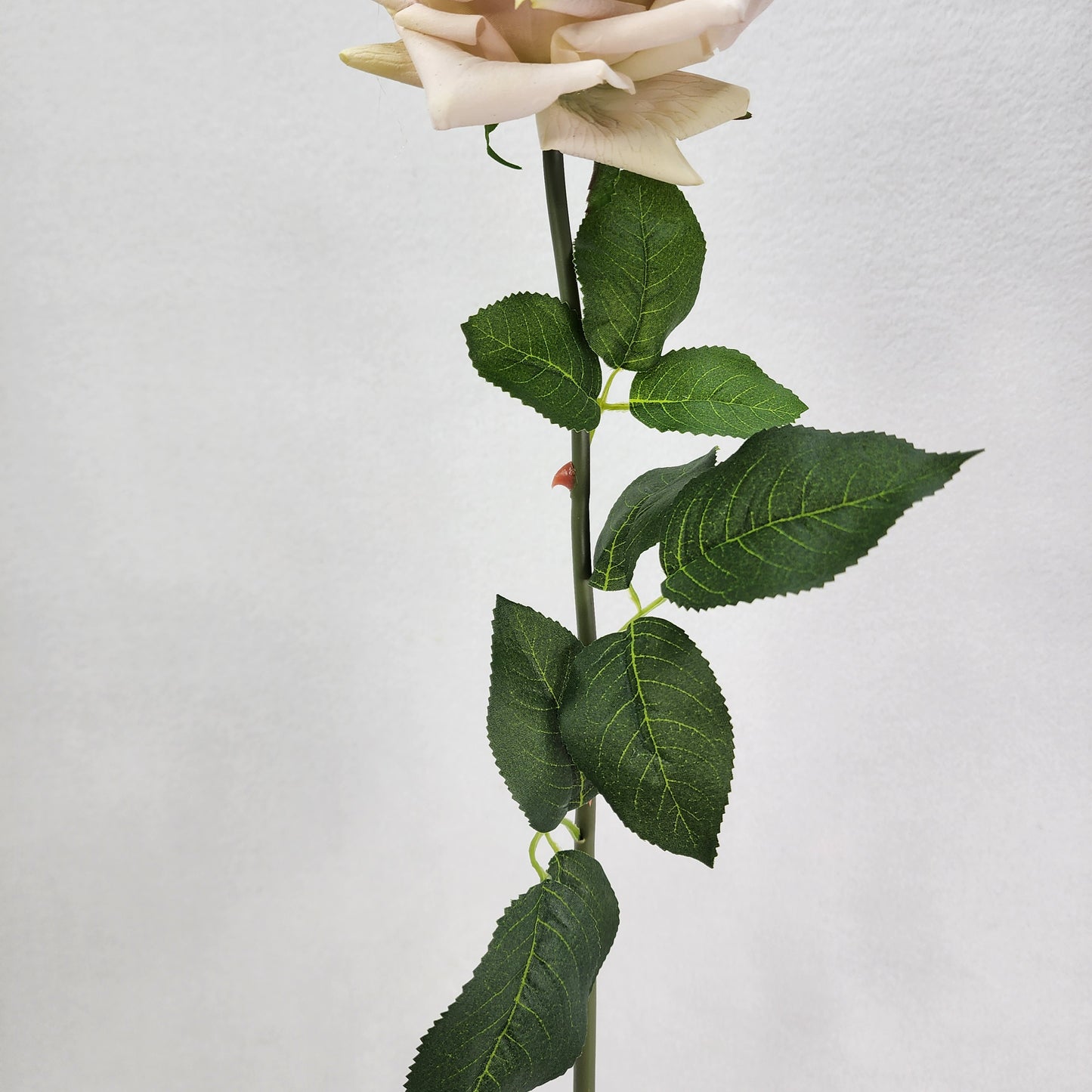 Quick Sand Royal Real Touch Rose