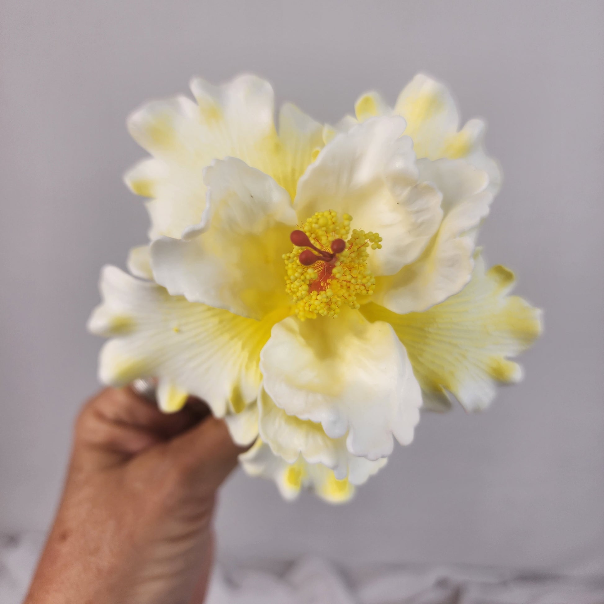 White /Yellow Double Hibiscus 11cm- Realistic artificial Flowers