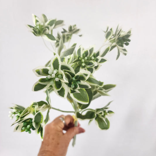 Euphorbia Variegated Greenery -Realistic Artificial Greenery