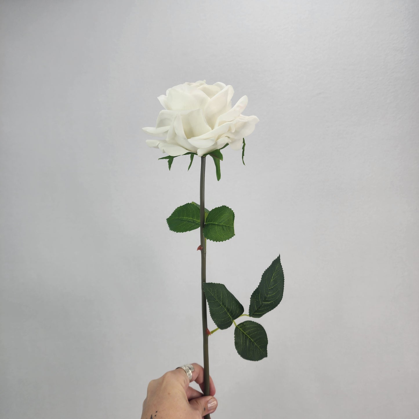 White Royal Real Touch Rose