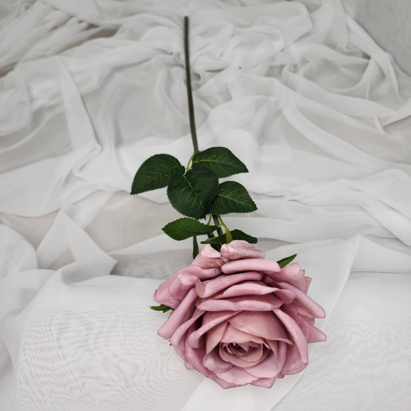 Dusty Pink Royal Real Touch Rose