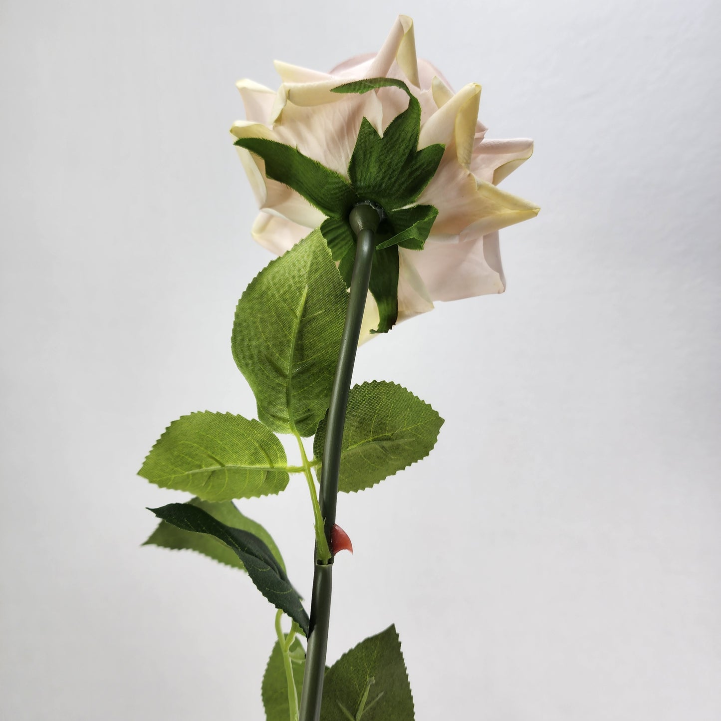 Quick Sand Royal Real Touch Rose