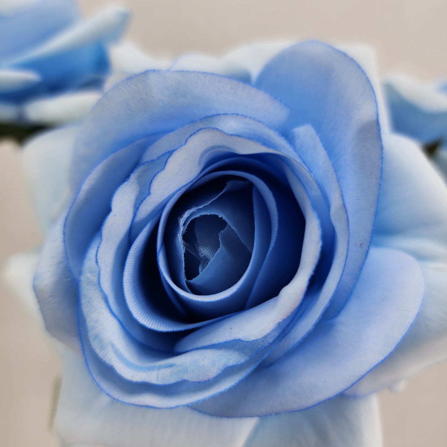 Ice Blue Royal Real Touch Rose