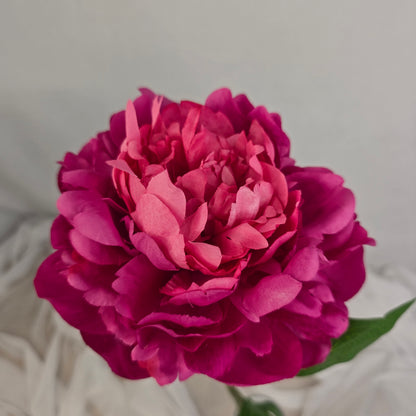 Dark Pink Peony Bloom Large - Realistic Artificial Flowers