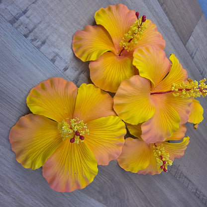 Peach Hibiscus 11.5 cm Flowerhead