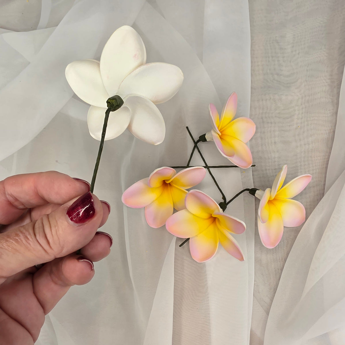 Pink/White/Yellow Frangipani 7cm Flowerhead