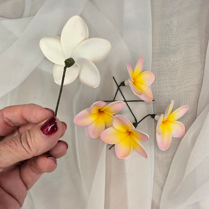 Pink/White/Yellow Frangipani 7cm Flowerhead