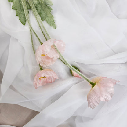 Icelandic Poppies - Light Pink